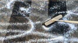 Carpet Shampooing