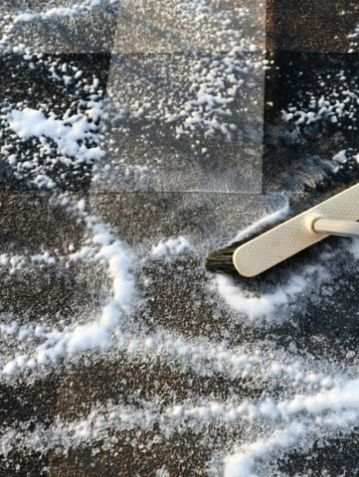 Carpet Shampooing