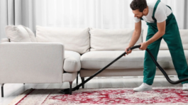 Dry Carpet Cleaning