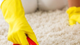 Stain & Spot Removal