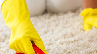 Stain & Spot Removal