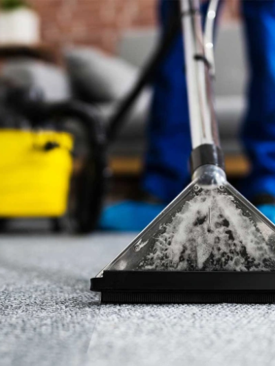 Carpet Deodorizing & Sanitizing