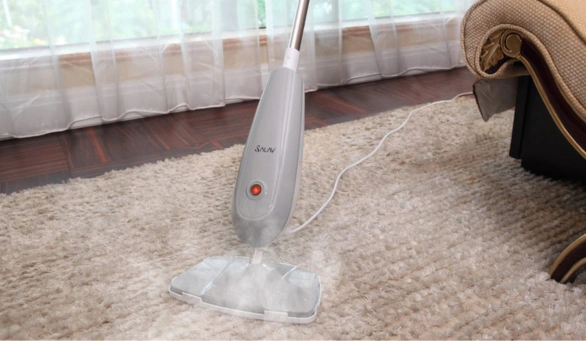 Steam Carpet Cleaning