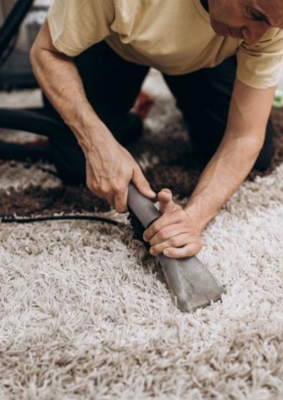 _ Dry Carpet Cleaning sp 2Stain & Spot Removal sp 2