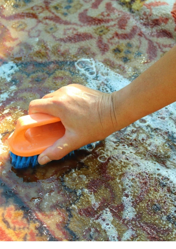carpet shampooing sp 2