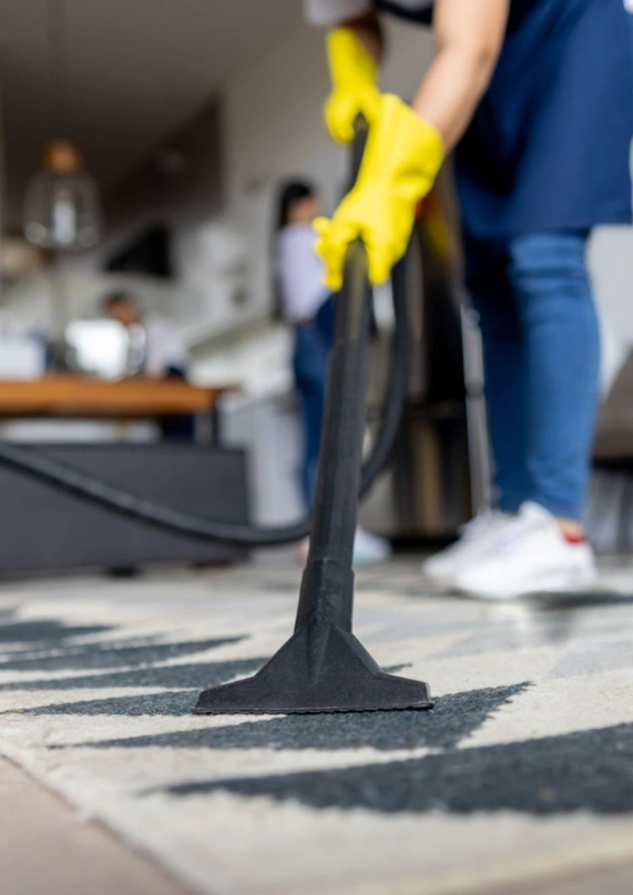 move in-out carpet cleaning sp 2